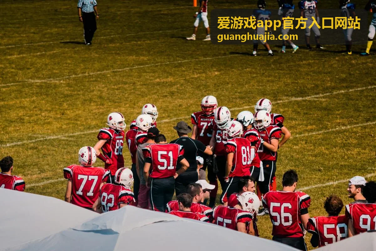 爱游戏app官方入口网站版本与更新记录